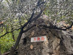 -阳台山自然风景区