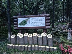 -临平公园(临平街道)