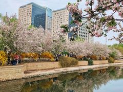 -海棠花溪(元大都城垣遗址公园)
