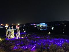 -大塘金香草谷