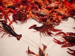 -青石桥市场北1-27号