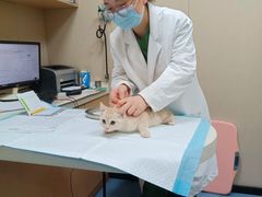 -瑞鹏宠物医院·爱宠堂·骨外专科(西荷分院)