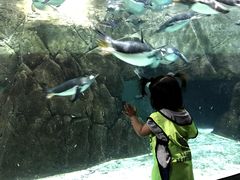 -成都浩海立方海洋公园