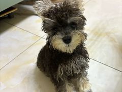-恒幸动物医院·急重症转诊中心·神经内外科·CT核磁