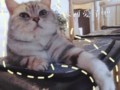 -平行世界·猫咖(首经贸店)