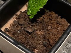 -盛江山自助料理(奥莱锦辉购物广场店)