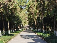 -灵谷景区