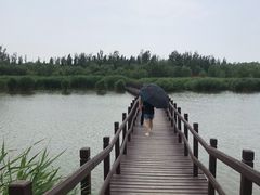 -西青郊野公园
