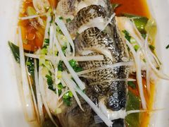 -九头鹰家宴(岳家嘴店)
