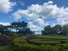 -莫内艺术岛海景咖啡