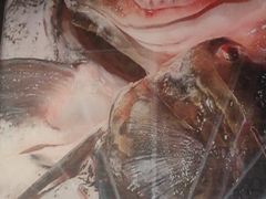 胖头鱼-东北老铁锅炖鱼