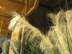 -符离集餐厅(万象城店)