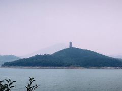 -望湖烤鱼