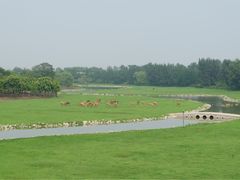 -北京麋鹿生态实验中心