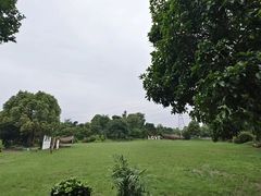 -桃园农庄·桃源宴