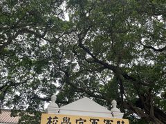 -长洲岛