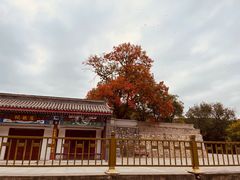 -八大处公园