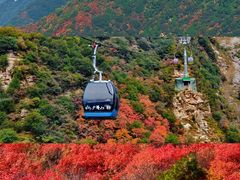 -少华山国家森林公园