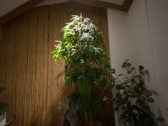 -锦初·禅意4K影院式足道·新中式SPA(茂业天地店)