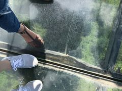 -梦幻奥陶纪景区