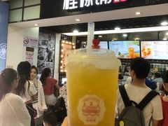 -桂桂茶(恒基名人店)