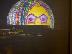 -拉斯维加斯永利酒店