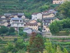 -杨家堂村