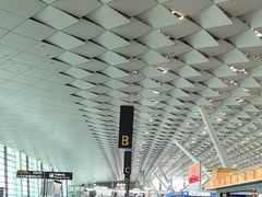 -郑州新郑国际机场-T2航站楼