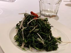 凉拌枸杞叶-中发源·清真餐厅(南油店)