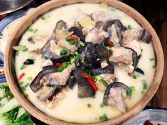 -印象鲵宴·张家界地标美食名片(溪布街店)