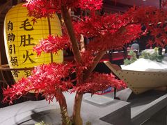 -芝小官毛肚火锅海鲜自助(淮安清江浦区新亚店)