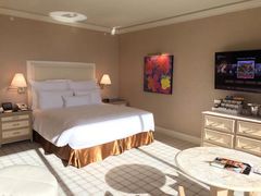 -拉斯维加斯永利酒店