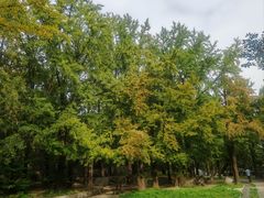 -阳台山自然风景区