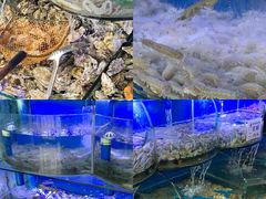 -鼓歌海鲜舫·手抓海鲜(大学城店)