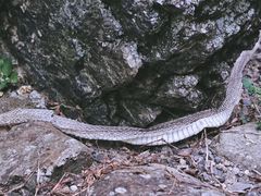 -安吉龙王山峡谷漂流
