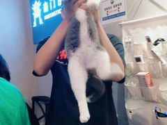 -奇门密室(五一新干线店)