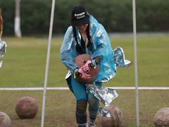 -春花秋色城市公园