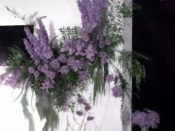 -迎宾一号酒店·宴会厅