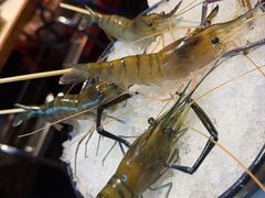 -琥珀川糟粕醋火锅(慈云寺店)