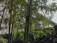 -何园