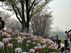 -长田漾湿地公园