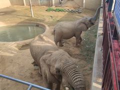 -西霞口神雕山野生动物世界