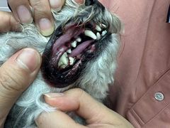 -FAELING PETS美天灵宠物(富力广场店)