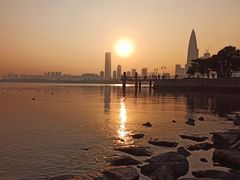 -深圳湾公园(南山区)