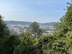 -火炉山森林公园