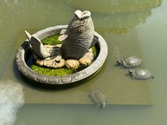 -皇罗禅寺