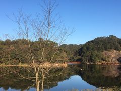 -广州市石门国家森林公园