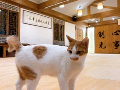 -少林功夫文化中心·独门独院
