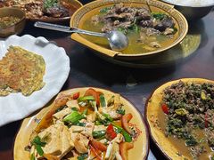 -中国科学院西双版纳热带植物园