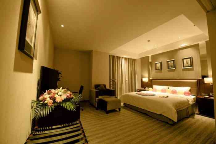 合肥尊悦酒店-"就是没电脑.其他的都还好吧.觉得高级酒店.